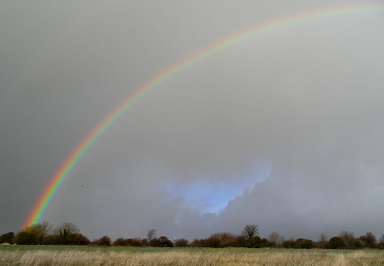 Saturday December 31st (2005) rainbow align=