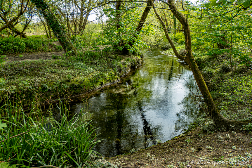 Wednesday April 17th (2024) winterbourne stream align=