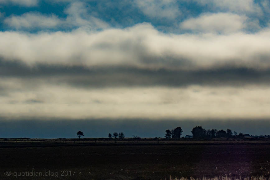 Saturday December 23rd (2017) pegwell nature reserve align=