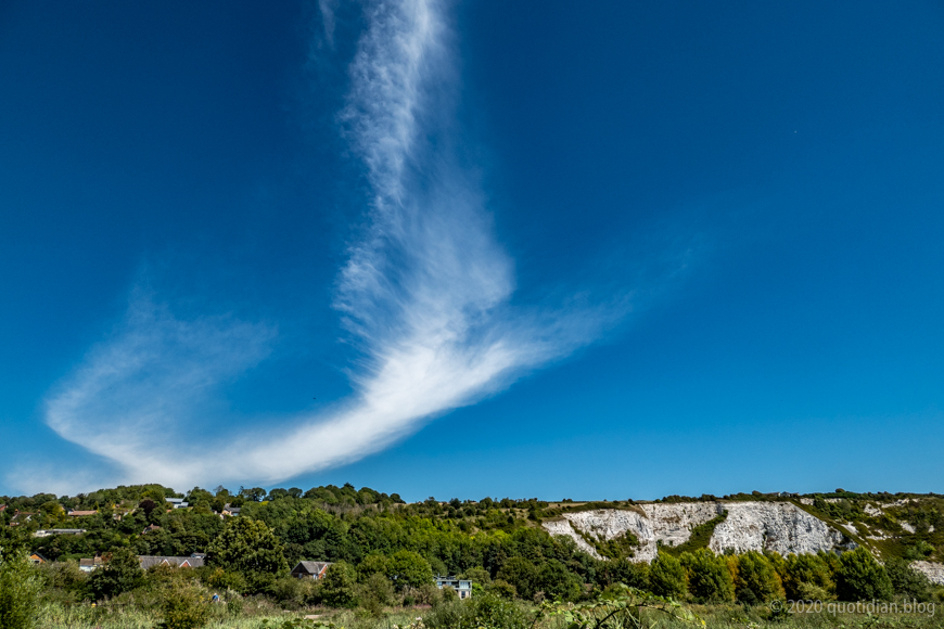 Friday July 31st (2020) fish cloud align=