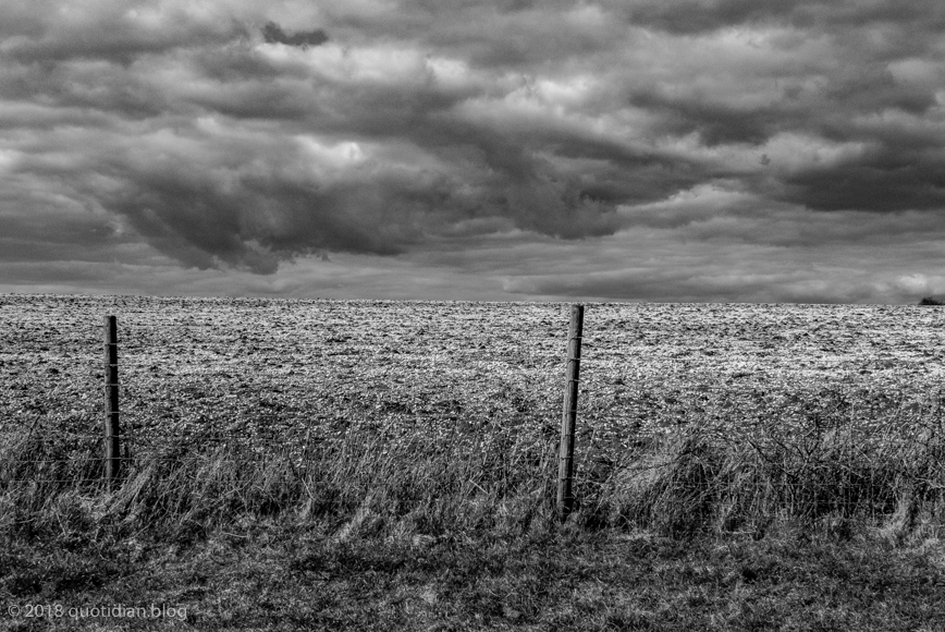 Saturday March 24th (2018) chalky ploughed field align=