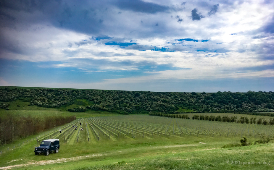 Wednesday June 2nd (2021) lunch at rathfinny estate align=