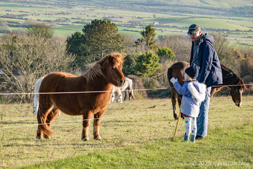 Thursday December 25th (2025) pony dialogue