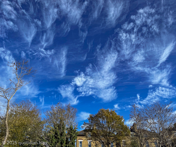 Wednesday November 26th (2025) south london skies align=