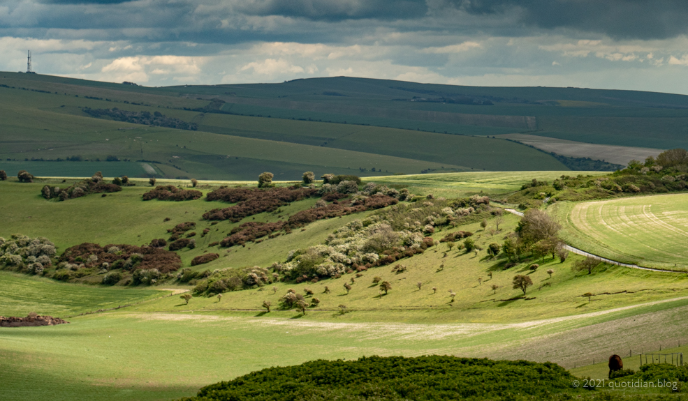 Wednesday May 26th (2021) near telscombe tye align=