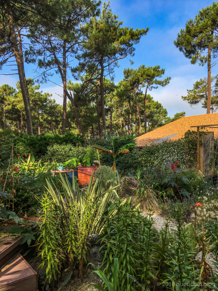 Sunday August 19th (2018) the garden at av. mexique align=