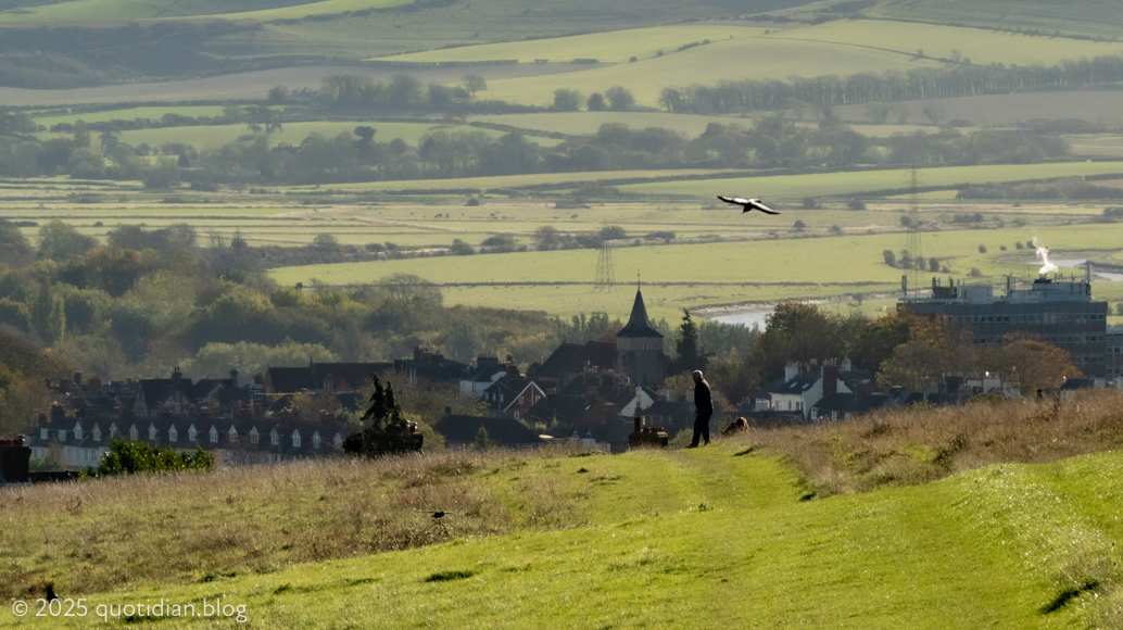 Monday October 27th 2025 man dog crow crow shadow
