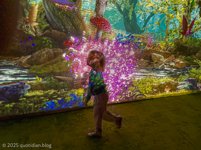 Friday October 31st (2025) magic woodland