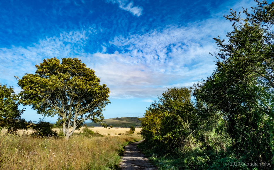 Thursday August 20th (2020) another beautiful afternoon align=