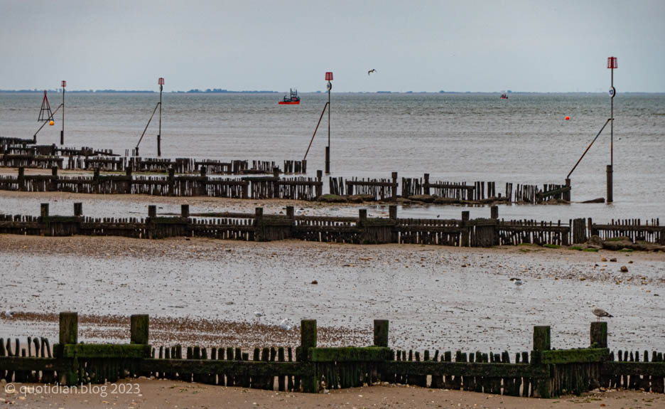 Tuesday September 26th (2023) groynes align=