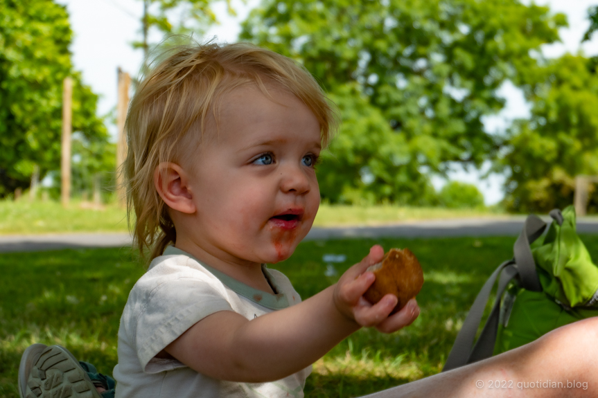 Friday June 17th (2022) mini pork pie anyone? align=