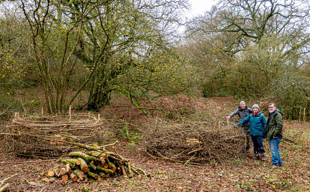 Monday November 30th (2020) ashcombe bottom align=