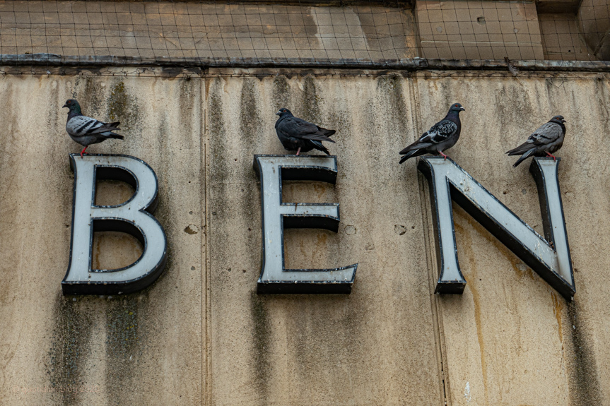 Tuesday March 15th (2022) alas poor debenhams align=