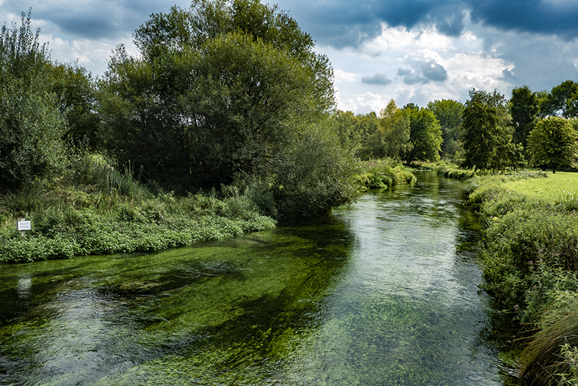 Friday August 31st (2018) river itchen align=