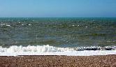 Thu 26th<br/>sea sandwich