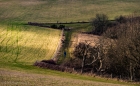 figure in a landscape