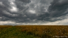 Sat 2nd<br/>looks like rain… didn