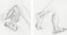 hands and feet