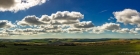 blackcap panorama