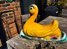 Tue 27th<br/>the duck has landed