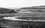 cuckmere haven