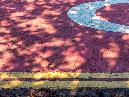 dappled red road