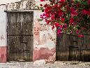 Tue 3rd<br/>the wonderful greek islands