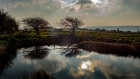 Wed 17th<br/>dew pond reflection