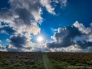 Sun 22nd<br/>when the sun eventually comes out...