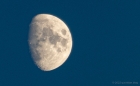 Thu 3rd<br/>evening moon