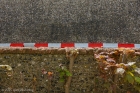 Sat 26th<br/>two walls