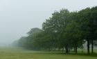 burton constable