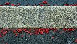Sat 14th<br/>red berries