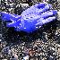 Fri 30th<br/>discarded glove