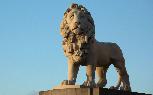 Sun 9th<br/>anxious lion