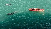 seagull frogman and dinghy