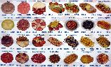 Fri 3rd<br/>tapas on offer