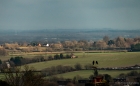 distant view with two crows