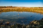 frozen pond