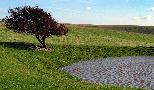 dew pond