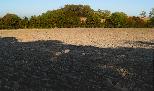 ploughed field