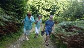lost in ashcombe bottom