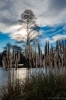 frozen ponds