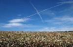 scottish sky