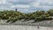 playing in the dunes