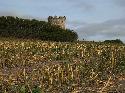 Sat 29th<br/>firle tower and corn field