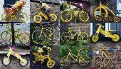 yellow bikes of yorkshire