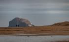 bass rock from yellowcraigs