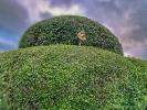 Thu 30th<br/>head in bush