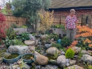 Fri 20th<br/>japanese inspired garden